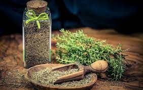 قیمت آویشن باغی با کیفیت ارزان + خرید عمده